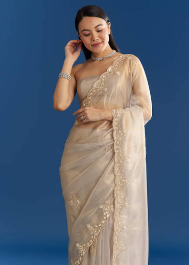Silver Organza Tissue Saree With Sparkling Border