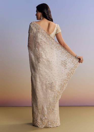 Silver Tissue Saree With Floral Cut Dana Embroidery