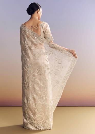 Silver Tissue Saree With Heavily Embroidered Border Work