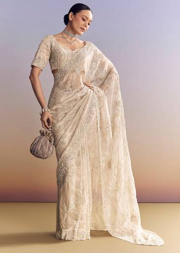Silver Tissue Saree With Heavily Embroidered Border Work