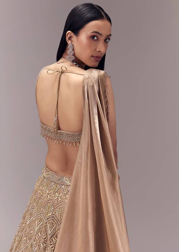 Gold Draped Blouse and Embellished Lehenga Set