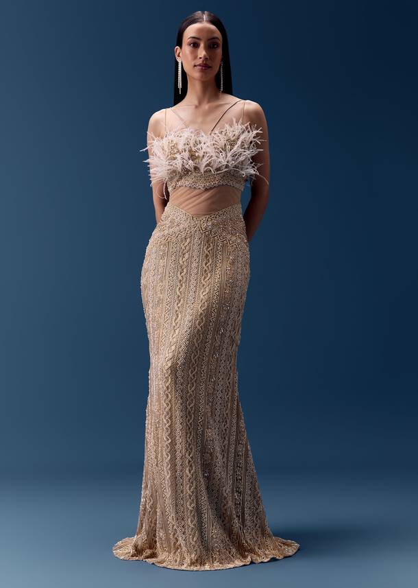 Gold Hand Embroidered Feather Detail Gown