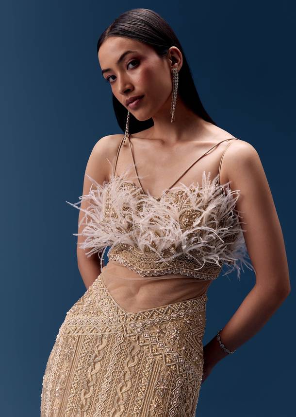 Gold Hand Embroidered Feather Detail Gown