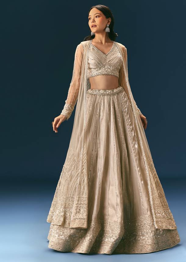 Oyster Lehenga Set In Organza With Jacket