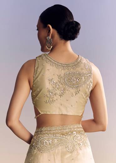 Beige Crush Tissue Saree With Multitech Embroidery