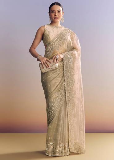 Beige Crush Tissue Saree With Multitech Embroidery