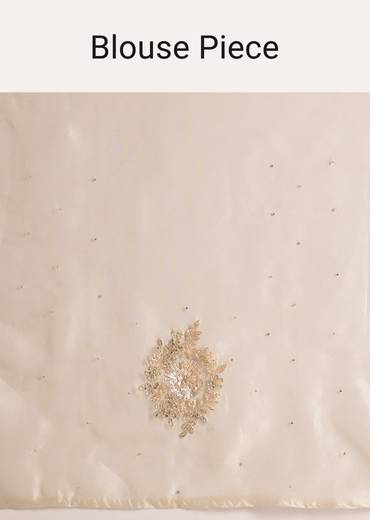 Beige Organza Tissue Saree With Delicate Embellished Edge