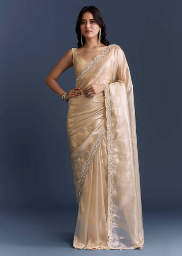 Beige Net Saree With Heavy Hand Embroidery