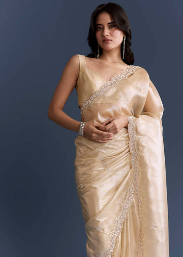 Beige Net Saree With Heavy Hand Embroidery