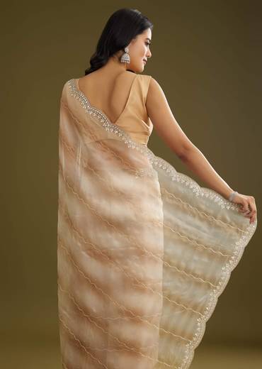 Beige Shaded Glass Tissue Saree With Stone Embellishment