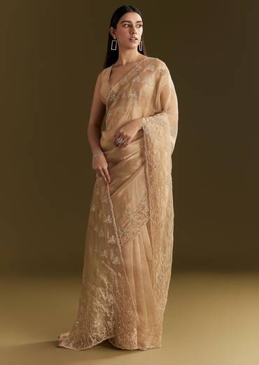 Beige Tissue Saree With Heavy Cutdana And Beads Embroidery