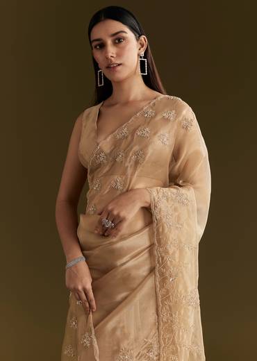 Beige Tissue Saree With Heavy Cutdana And Beads Embroidery