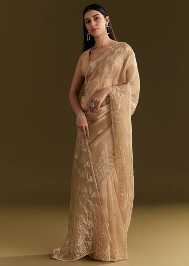 Beige Tissue Saree With Heavy Cutdana And Beads Embroidery