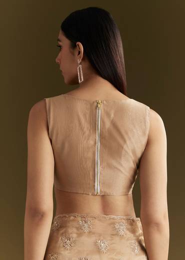 Beige Tissue Saree With Heavy Cutdana And Beads Embroidery