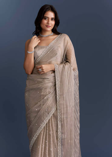 Beige Tissue Saree With Heavy Hand Embroidery
