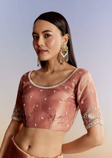 Brown Rust Crush Tissue Saree With Gota And Beads Embroidery