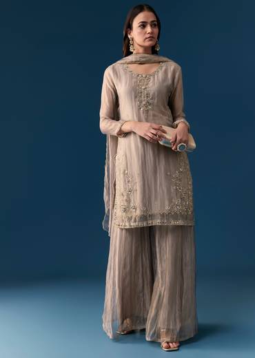 Grey Tissue Palazzo Set With Cut Dana And Sequins Work