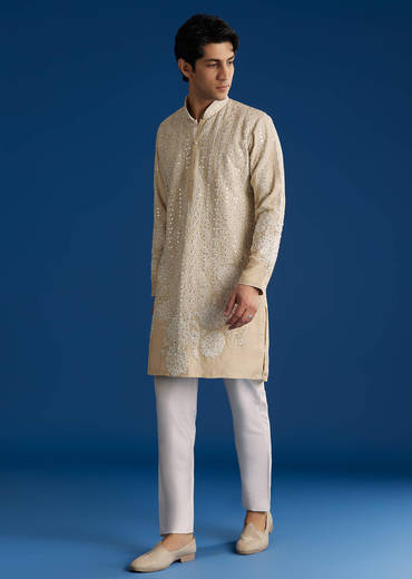 Light Beige Silk Embroidered Kurta Set