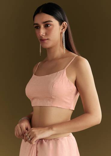 Light Peach Tissue Silk Saree With Stone Embellishments