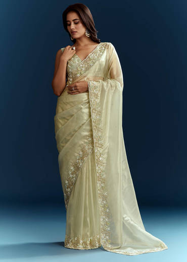 Light Pista Organza Saree With Floral Cutdana And Stone Embroidery