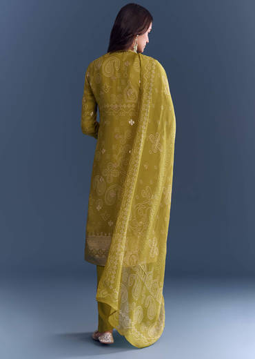 Mehendi Green Organza Kurta Set With Paisley Print And Hand Work