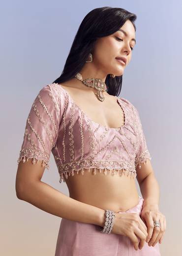 Pink Tissue Saree Adorned With Scallop Border And Heavy Embroidery
