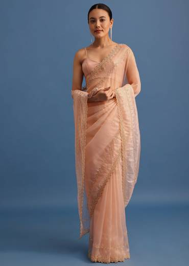 peach tissue saree with cutdana embroidered border and unstitched blouse-sg213209 6 cf6bc16a-7f6a-4b9c-90be-f357450d16bd