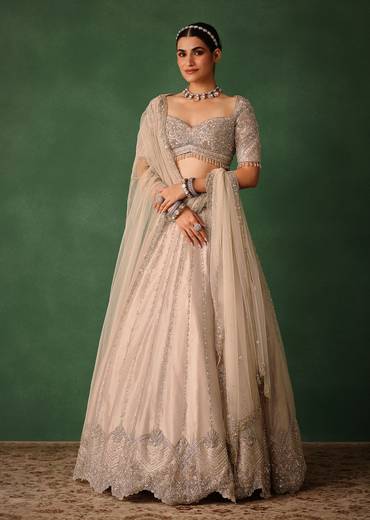 Oyster Pink Hand Embroidered Organza Lehenga Set