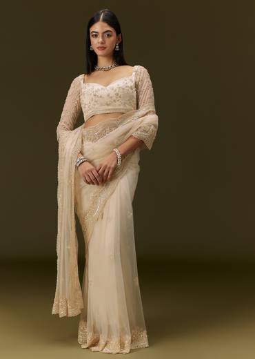 Beige Net Saree With Heavy All Over Embroidery