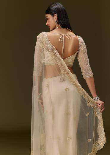 Beige Net Saree With Heavy All Over Embroidery