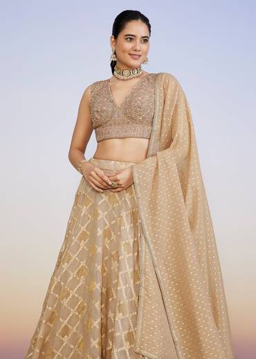 Gold Blush Duo – Banarasi Lehenga For Her And Jacket Kurta Set For Him