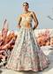Sky Blue Butterfly Blouse Lehenga Set