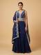 Blue Embellished Cape Set