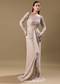 Cream Crushed Shimmer Embroidered Gown