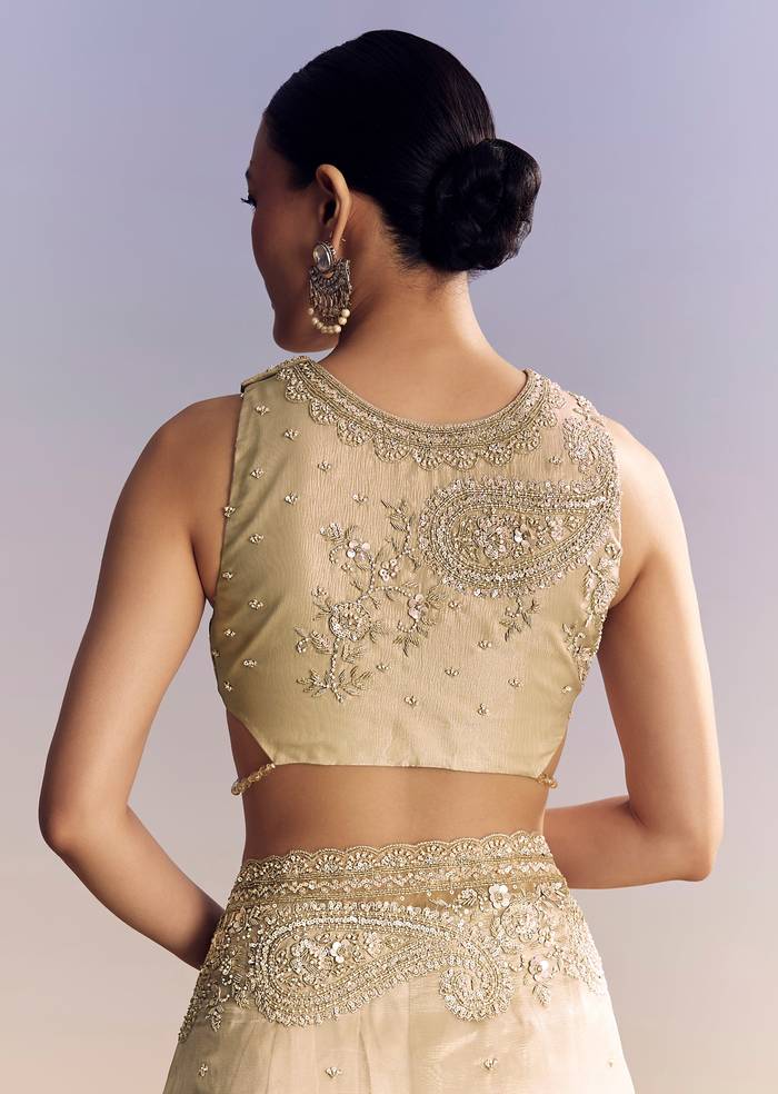 Beige Crush Tissue Saree With Multitech Embroidery