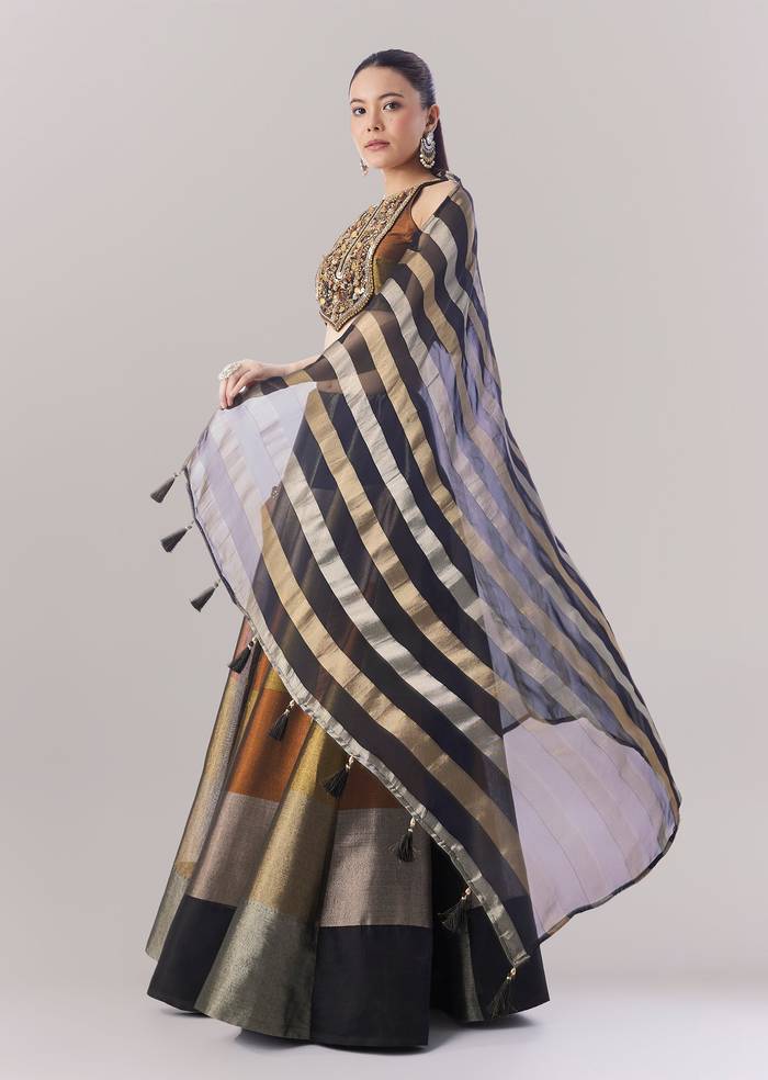 Black Colourblocked Lehenga With Sequins And Bead Work Choli