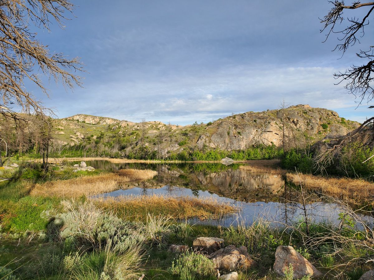 Largest of the 3 ponds on the property