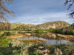Largest of the 3 ponds on the property