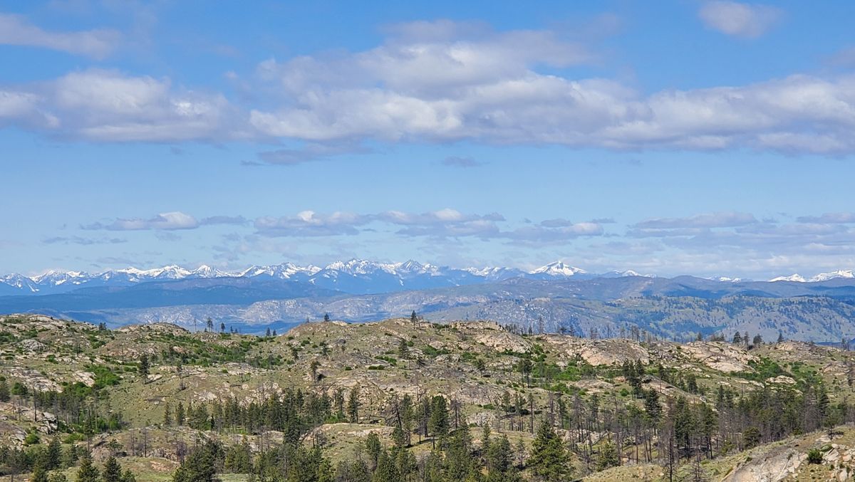 View of the Sawtooth Range of the North Cascades