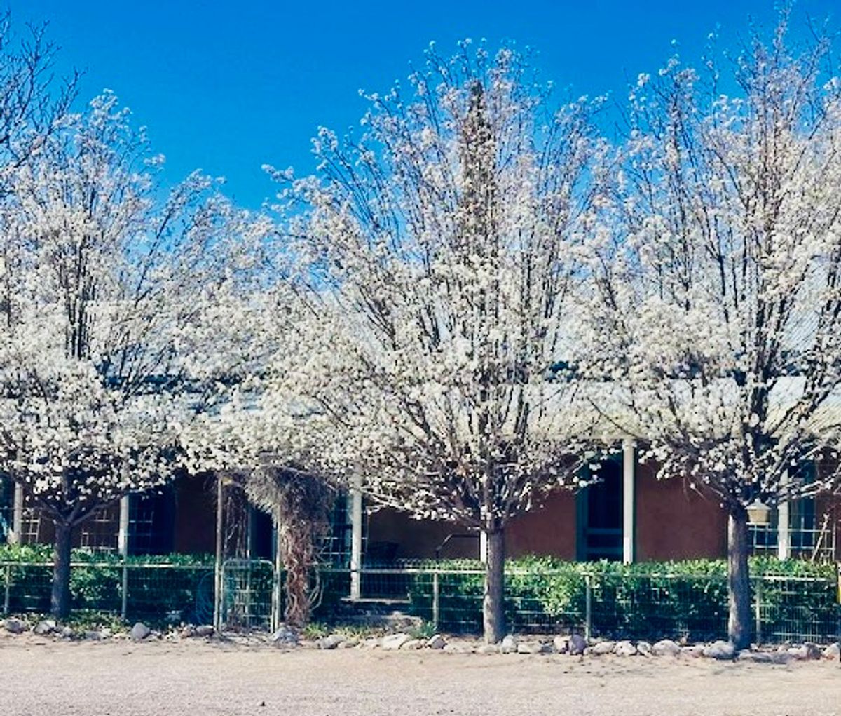 property-listing