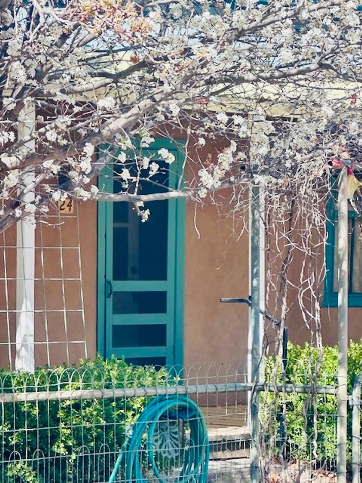 property-listing