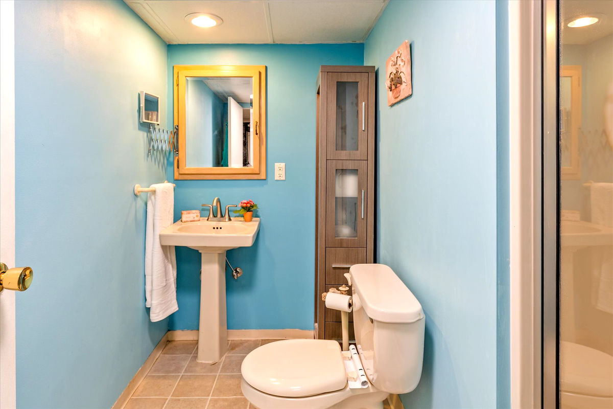 basement bathroom