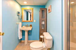 basement bathroom