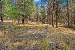 Natural setting with room for expansion or quiet walks in the woods.