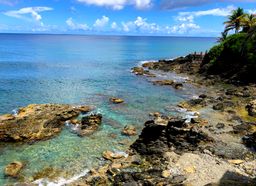 View from the deck downstairs deck-East House