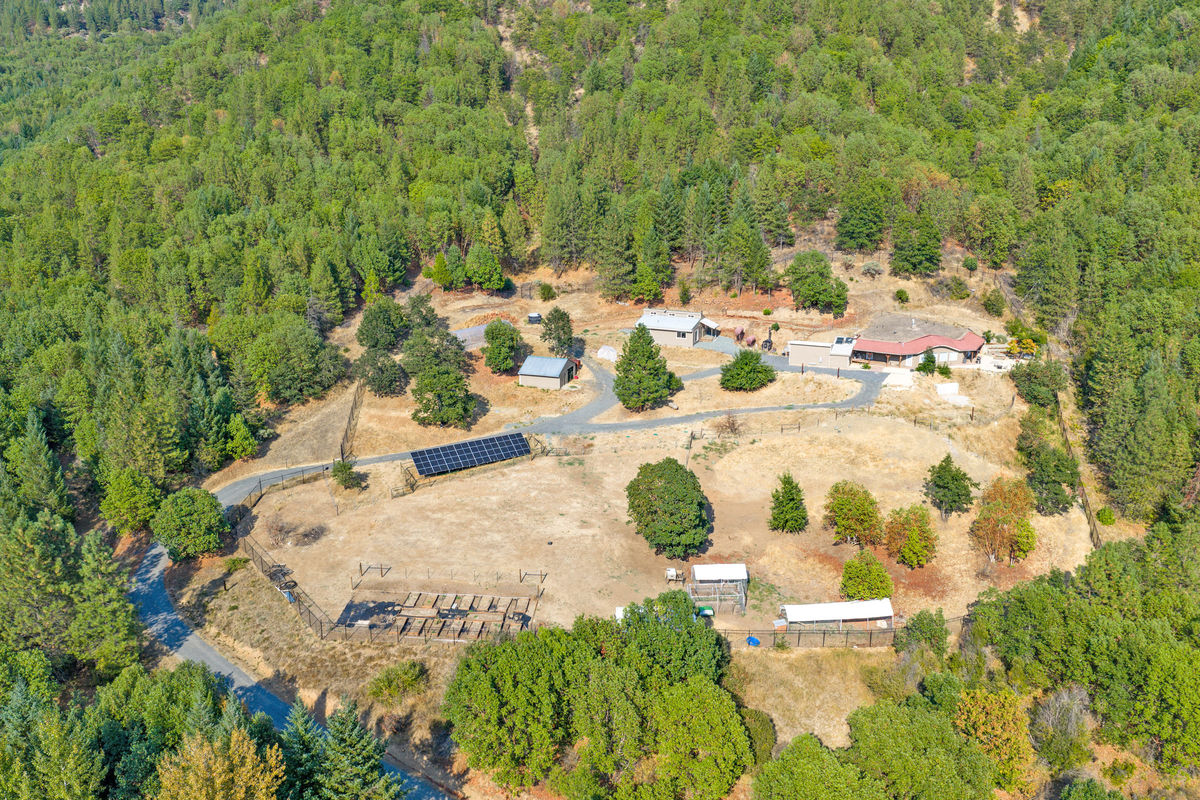 Approx 10 acres perimeter fenced and cross fenced for animal pastures.
