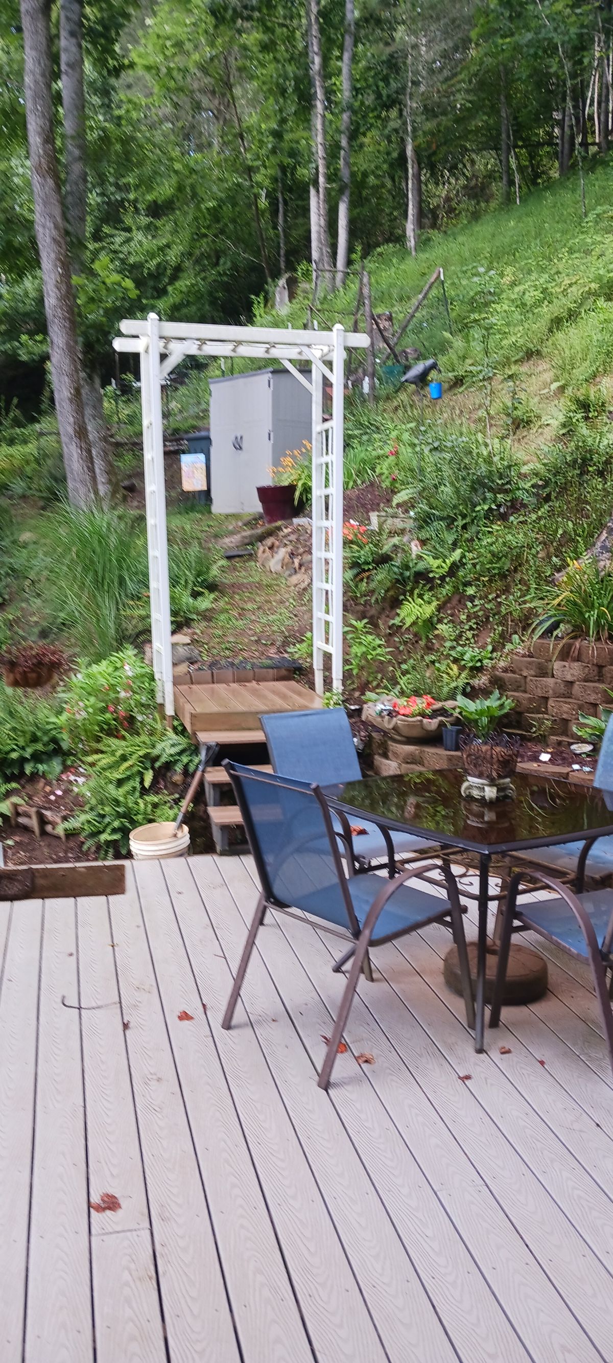 Pathway to the garden shed and tiered garden