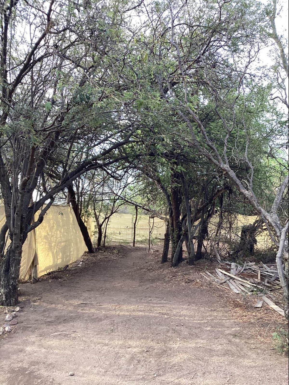 property-listing