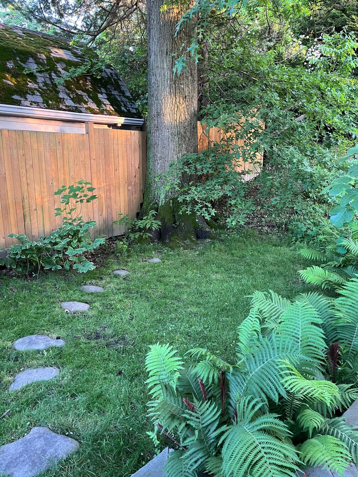 green_photos