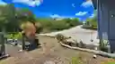 listing-thumbnails